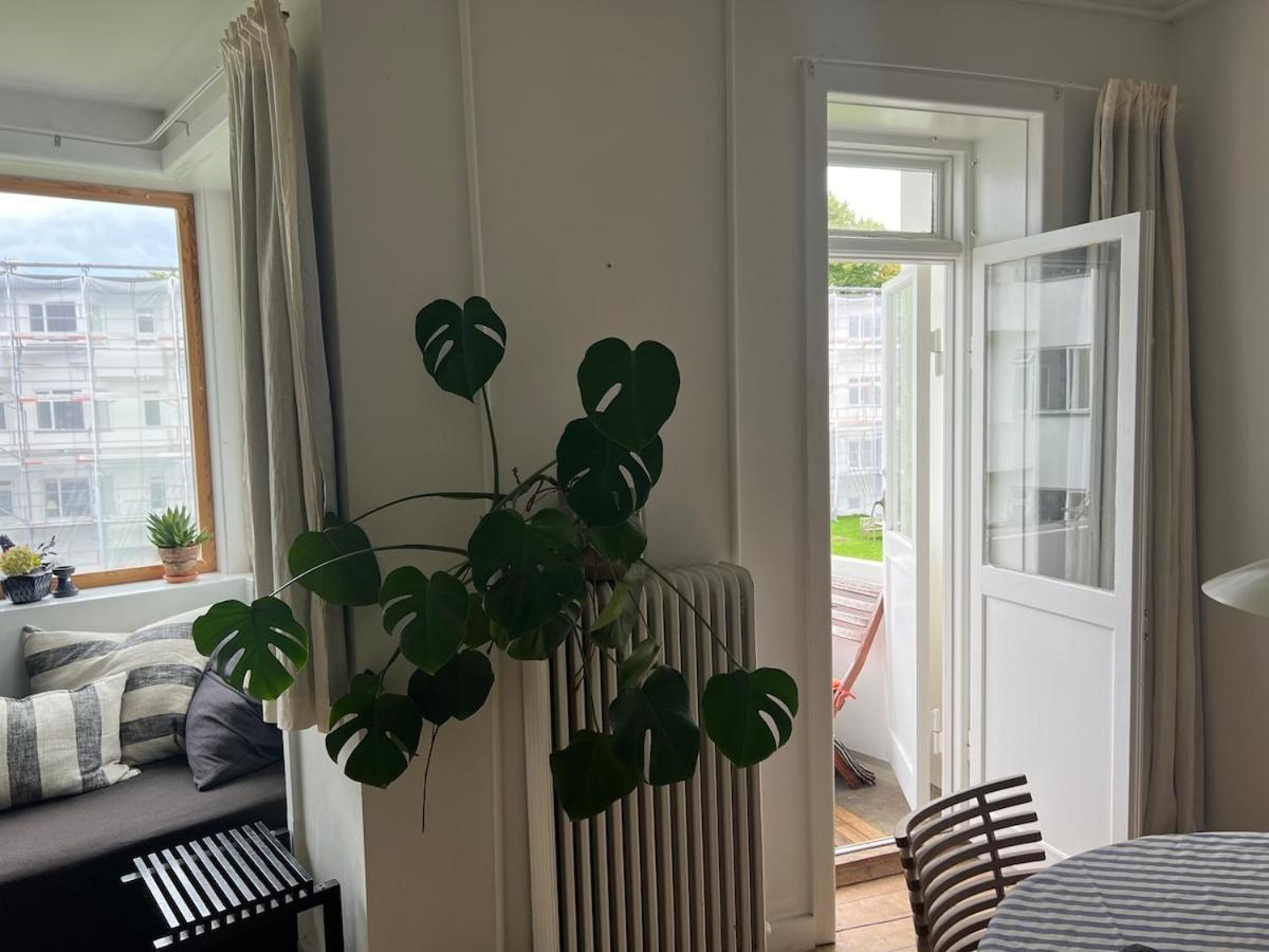 Apartment In Quiet Neighbourhood *